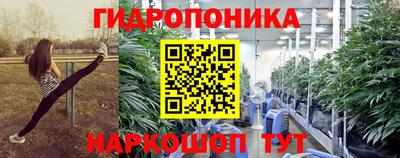 хмурый Заводоуковск
